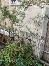 神奈川県海老名市　I様邸