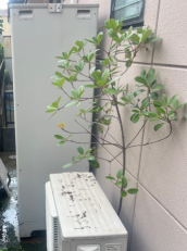 埼玉県春日部市　S様邸