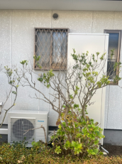 大分県豊後高田市　O様邸