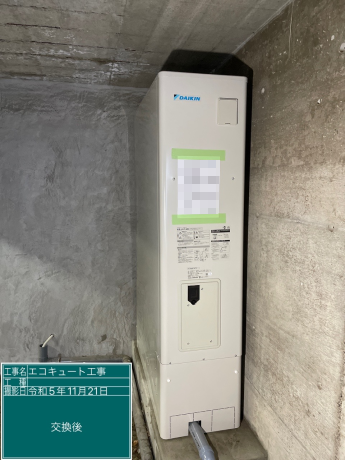 エコル エコ バース ニュータイプ 2本 エコル エコ バース ニュー